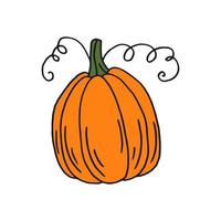 Pumpkin. Flat color icon. Thanksgiving design. Autumn pumpkin. vector