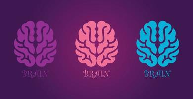 3d brain colorful vector