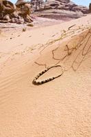 Bedouin beads on red sand dune desert photo
