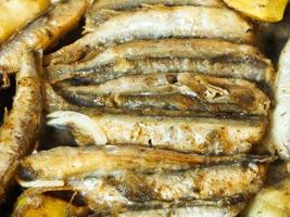 frying capelin fish in oil in frypan photo
