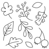 Autumn plants doodle elements. Contour elements of the plant in autumn. Vector graphics