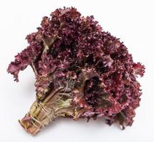 bunch of fresh leaf lettuce lollo rosso on white photo