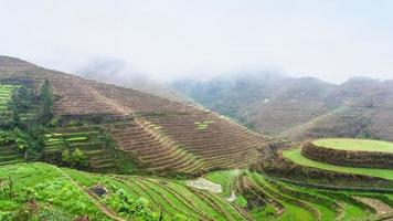 above view of terraced rice grounds on hills photo