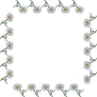 Square frame with snowdrops and chamomile on white background. Vector image.