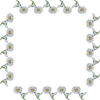 Square frame with snowdrops and chamomile on white background. Vector image.