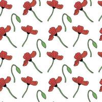 Seamless pattern with poppies and poppy bud on white background. Vector image.