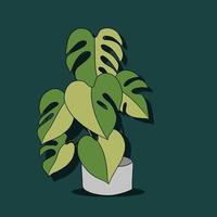 simplicidad monstera planta dibujo a mano alzada diseño plano. vector