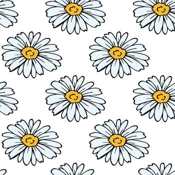Seamless pattern with big chamomile on white background. Vector image.