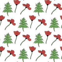 Seamless pattern with poppies and leaves on white background. Vector image.