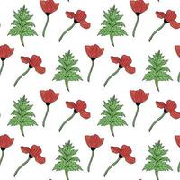 Seamless pattern with poppies and leaves on white background. Vector image.