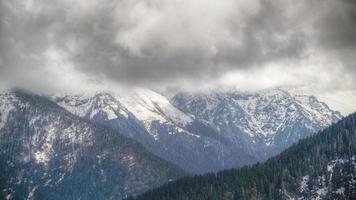 8k donker storm wolken in pijnboom Woud gedekt vallei in besneeuwd bergen video