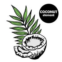 coconut half with palm leaf and piece of pulp, black doodle, simple style vector