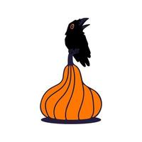 Raven sitting on halloween pumpkin. Vector flat cartoon illustration.