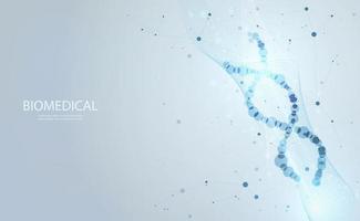 la ciencia de la salud abstracta consiste en el concepto de tecnología digital de adn médico moderno sobre fondo azul futuro de alta tecnología. vector