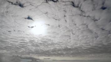8k nuvens de altocumulus cobertas de céu video