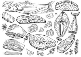 Salmon whole red fish, caviar, raw steaks and fillet realistic isolated outline vector illustration. Drawn monochrome seafood meal.