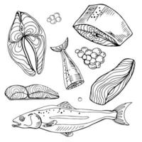 Salmon whole red fish, caviar, raw steaks and fillet realistic isolated outline vector illustration. Drawn monochrome seafood meal.