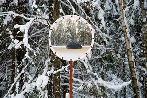 mirror in winter forest photo