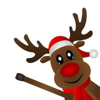 Reindeer peeking sideways on a white background vector