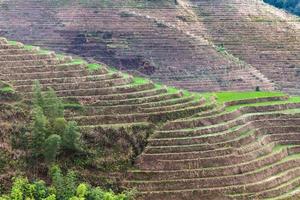 colina con arroz en terrazas en el pueblo de dazhai foto