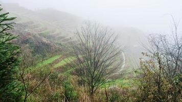 vista de las colinas de terrazas de arroz en la niebla foto