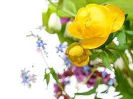 yellow trollius flowers in posy close up photo