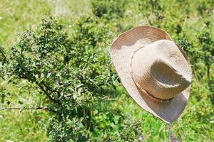 el sombrero de vaquero cuelga de un arbusto espinoso foto