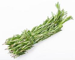 bunch of fresh cut rosemary herb on white photo