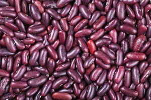 many raw red kidney beans photo