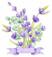 un ramo de hojas de eucalipto verde y lavanda lila. ilustración acuarela rama de eucalipto dibujada a mano con flores de lavanda vector