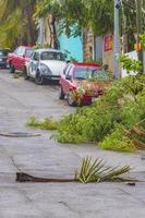 Hurricane 2021 Playa del Carmen Mexico destruction devastation broken trees. photo