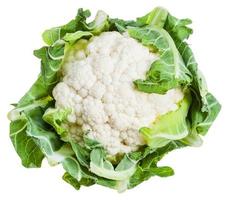 fresh ripe cauliflower isolated on white photo