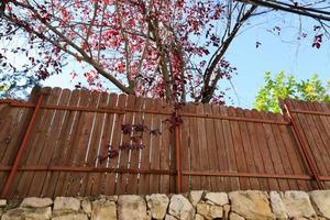 Fence in the city park on the shores of the Mediterranean Sea. photo