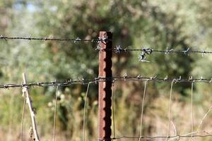 Fence in the city park on the shores of the Mediterranean Sea. photo