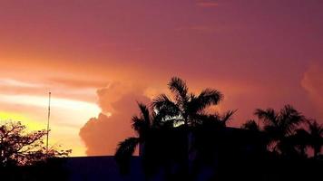 Fantastisk färgrik rosa lila soluppgång solnedgång playa del carmen Mexiko. video