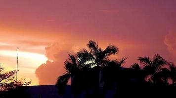 verbazingwekkend kleurrijk roze Purper zonsopkomst zonsondergang playa del carmen Mexico. video