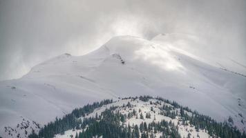8k hoher schneebedeckter Berggipfel hinter dem Wald video