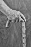 Hands and stick photo