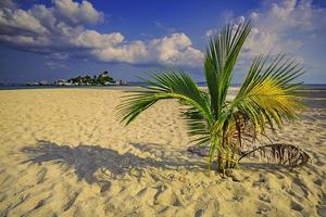 Kepayang Island Belitung photo