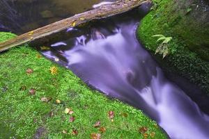 Autumn brook and river photo