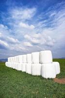 Silage and skies photo