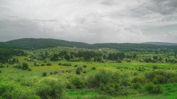 Pasto de 8k de pueblo forestal con flores en meseta video