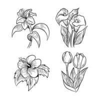 Set of Realistic Floral Hand Drawn vector