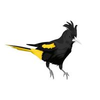 Yellow-winged Cacique bird vector