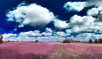 hermoso y colorido paisaje de fantasía en un estilo infrarrojo púrpura asiático foto