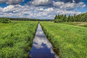 View of an agriculturally used field with green grass. photo