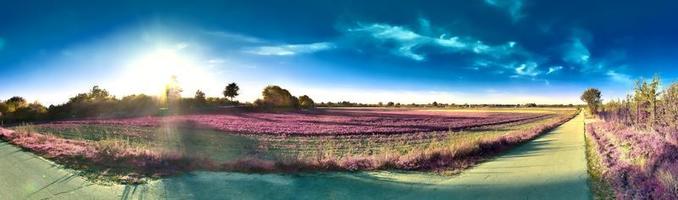 hermoso y colorido paisaje de fantasía en un estilo infrarrojo púrpura asiático foto