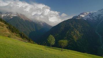 8K Green Meadow Covered With Yellow Flowers in Gorgeous Snowy Mountains video