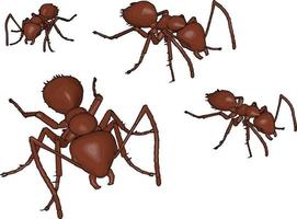 Four 3D brown ants, illustration, vector on white background.