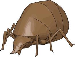 3D rhinoceros beetle, illustration, vector on white background.